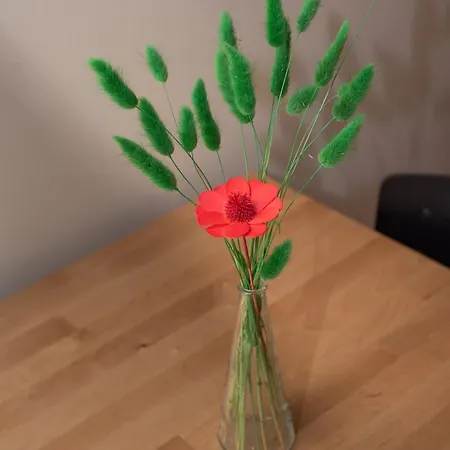 U Campanin Alojamento de Acomodação e Pequeno-almoço Dolceacqua